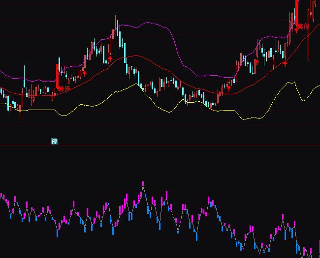 通達信免費版散戶持倉統計指標公式